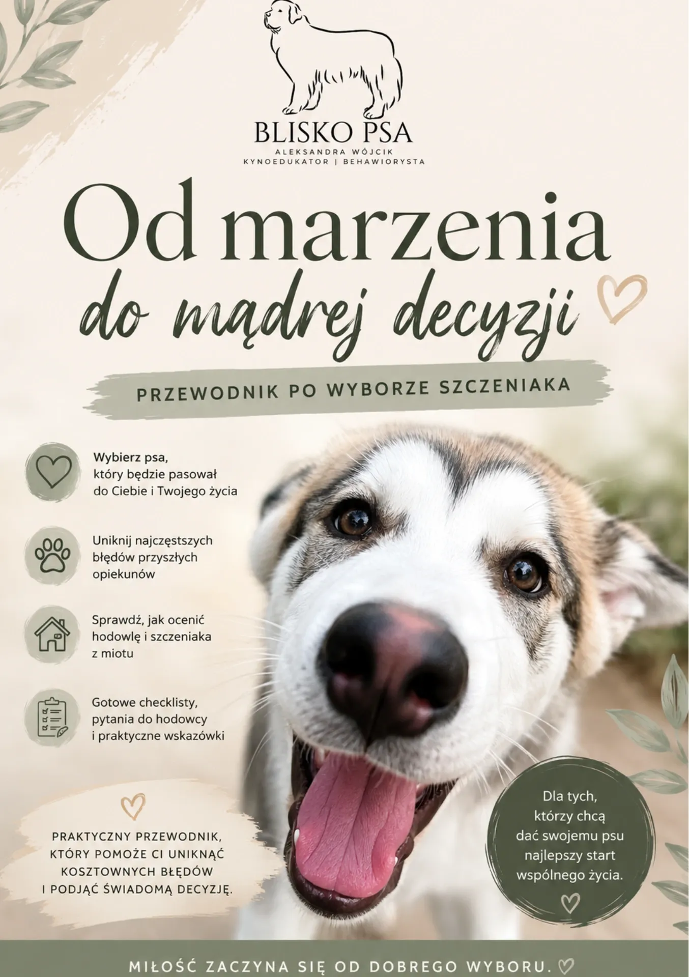 Od Marzeń do mądrej decyzji